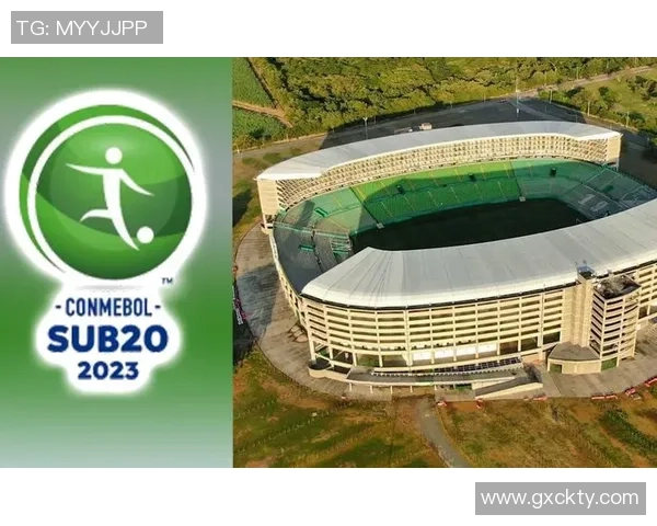 2024年哥伦比亚足球明星风云榜揭晓球场上的璀璨之星 2024年哥伦比亚足球明星风云榜揭晓球场上的璀璨之星