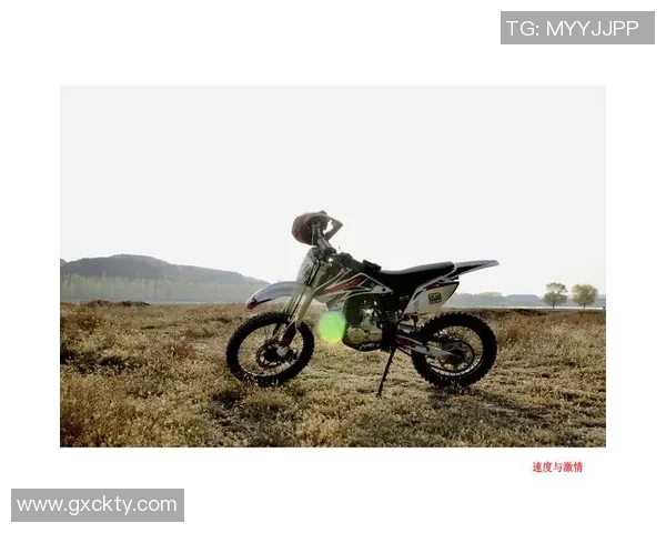 托马茨足球：探索这项运动背后的激情与团队精神