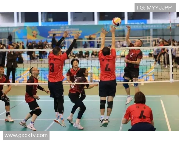 深圳排球队在排球比赛中经验排名创新高展现团队实力与竞技水平