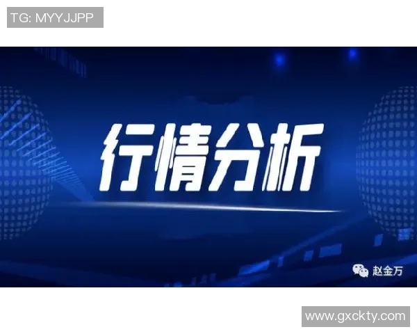 独家解析：北京排球队各队员速度差异及战术影响分析