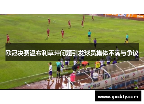欧冠决赛温布利草坪问题引发球员集体不满与争议